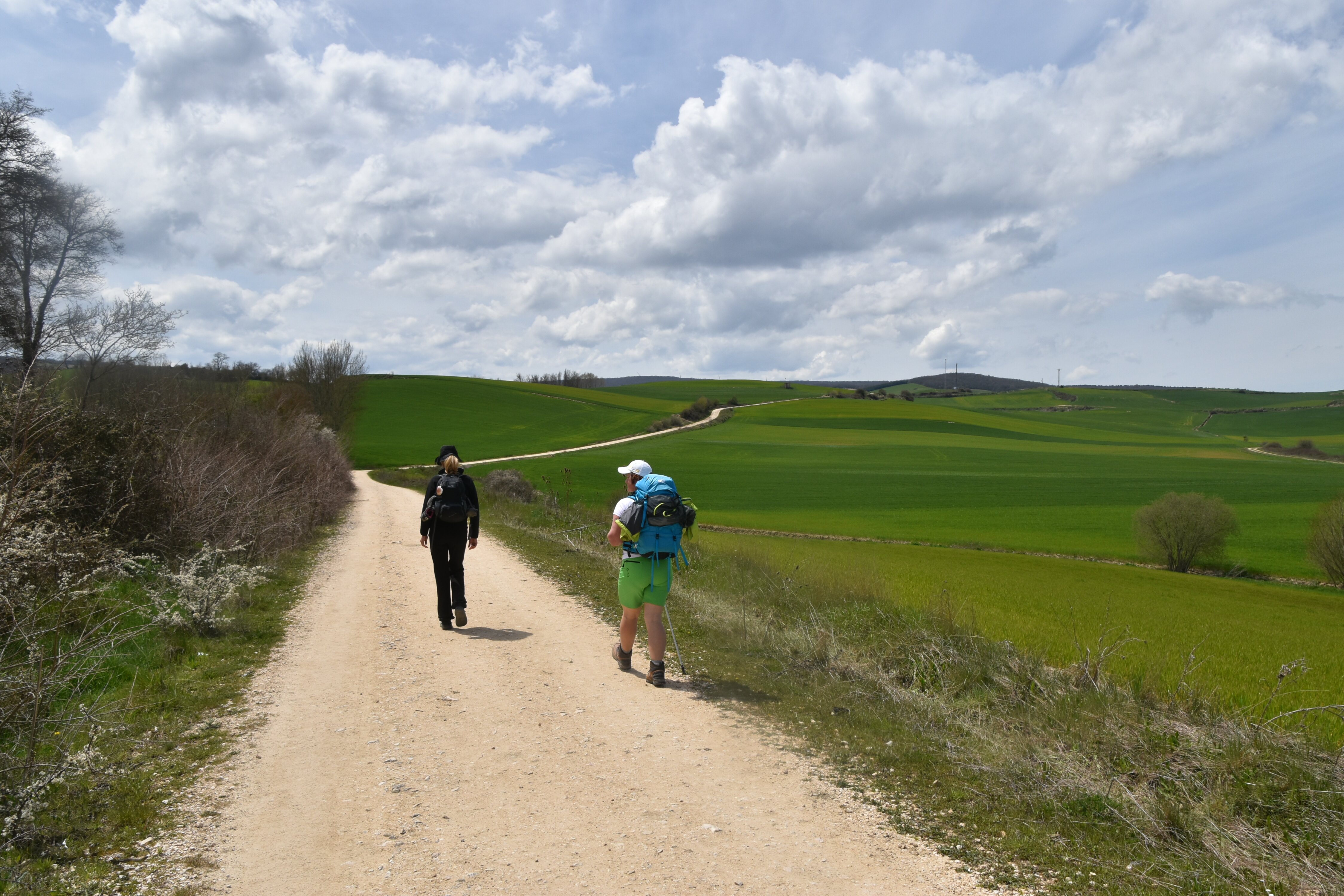 Hodiš, hodiš, hodiš, ješ, hodiš, piješ, hodiš...