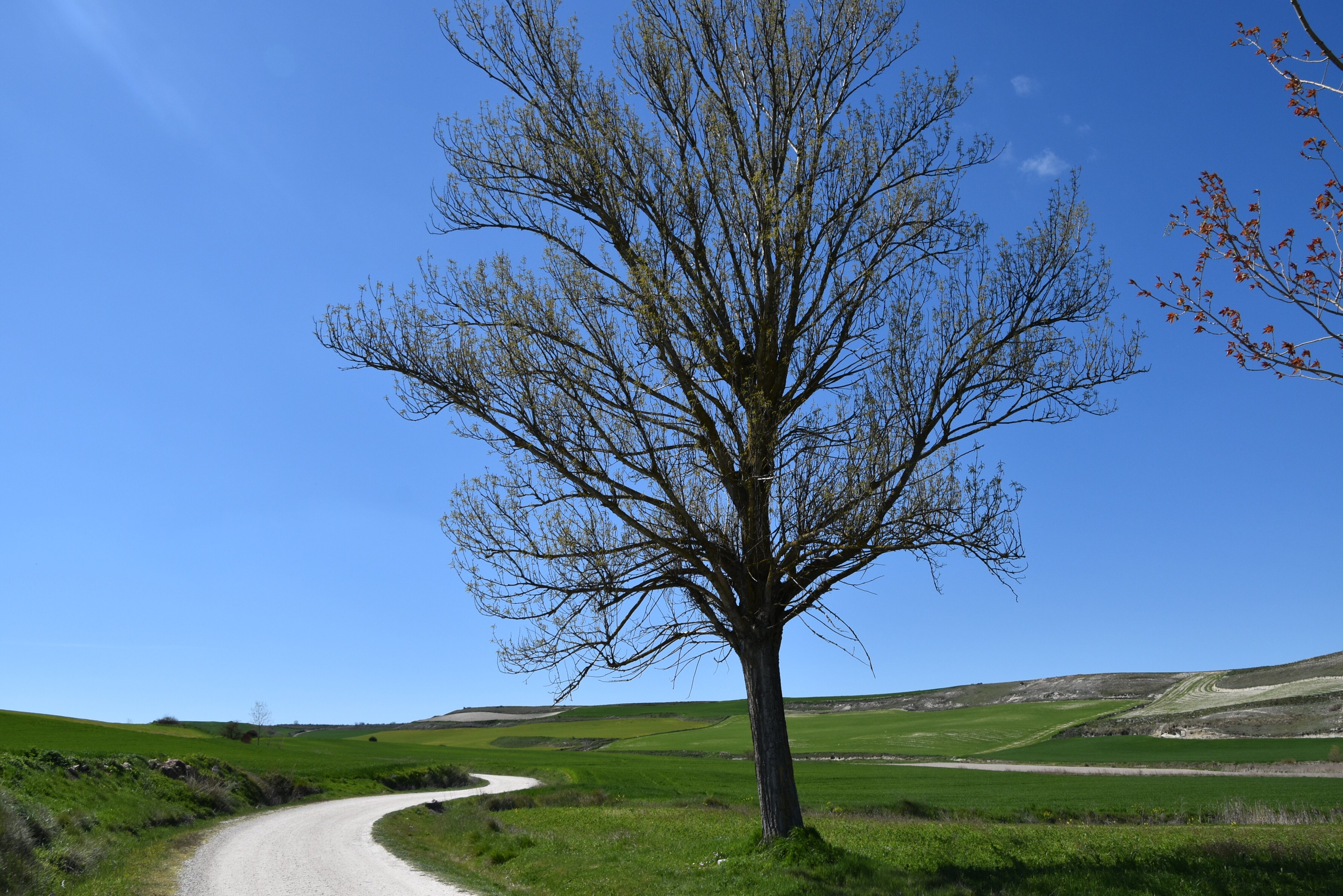 Na poti me je pogled na čudovito naravo osrečil
