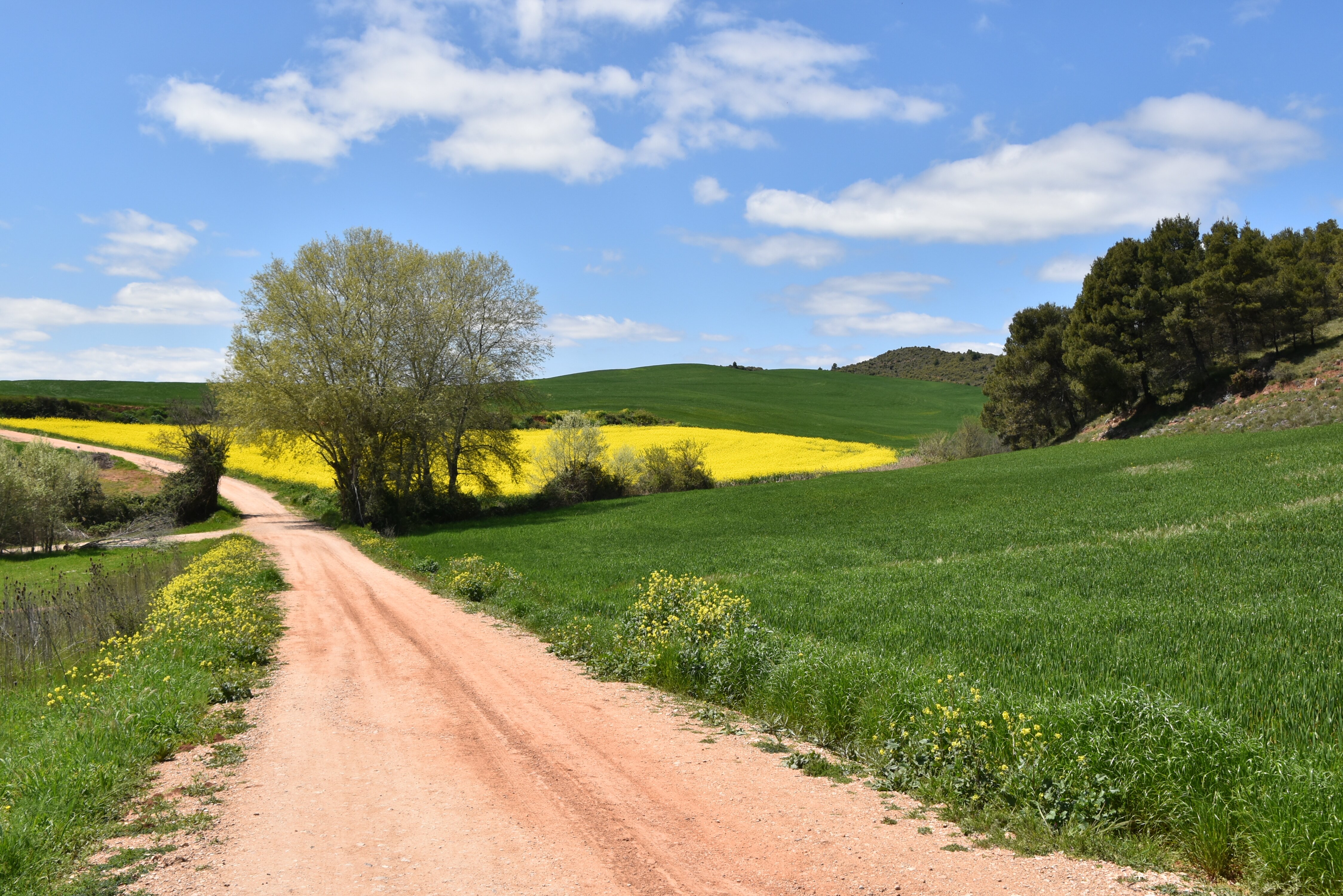 Sončno vreme na Mezeti