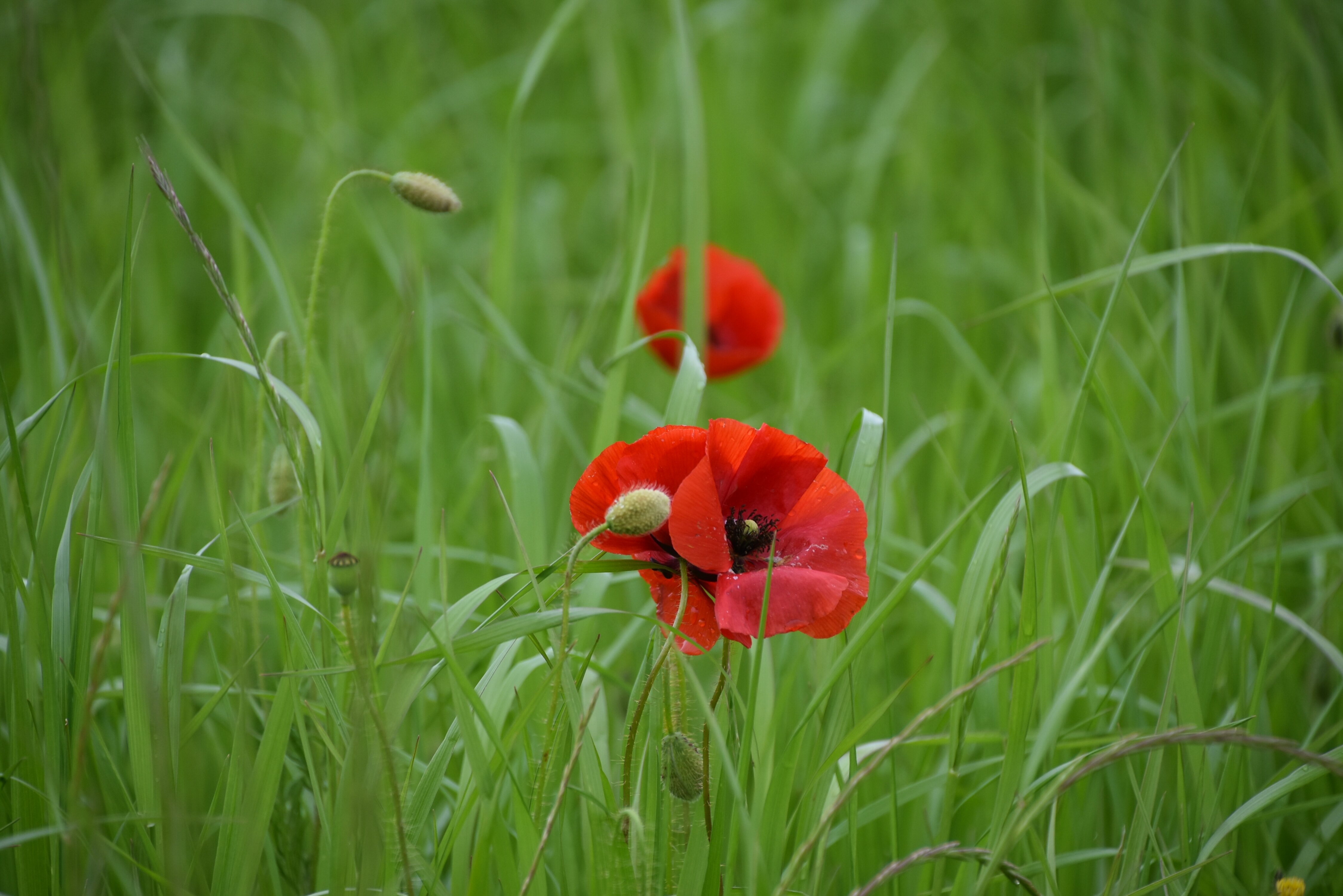 Na Caminu je vse potencirano